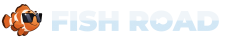 Fish Road